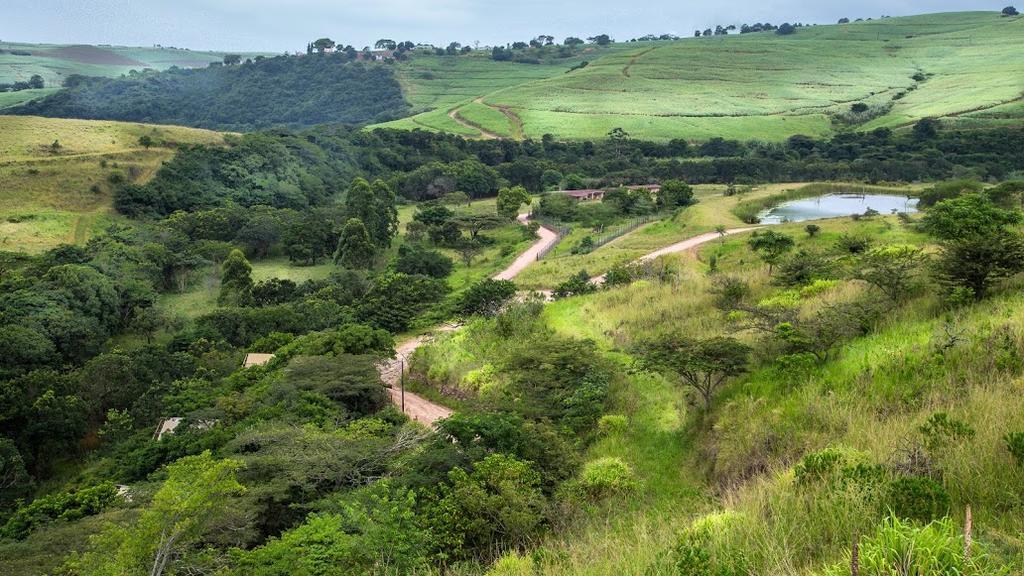 Rain Farm Game Lodge uMhlali Exterior foto